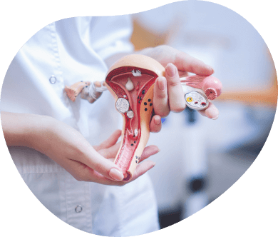 Cirurgia Ginecológica